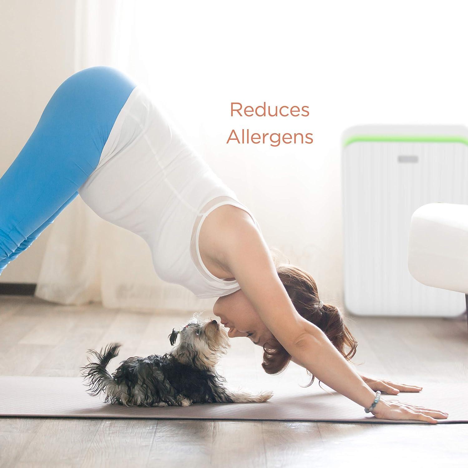 image:imageAprilaire Allergy True HEPA Room Air Purifier 9550 with 3Stage Filtration Captures Allergens amp Odors Ozone Free 495 sq ft RoomsALLERGY